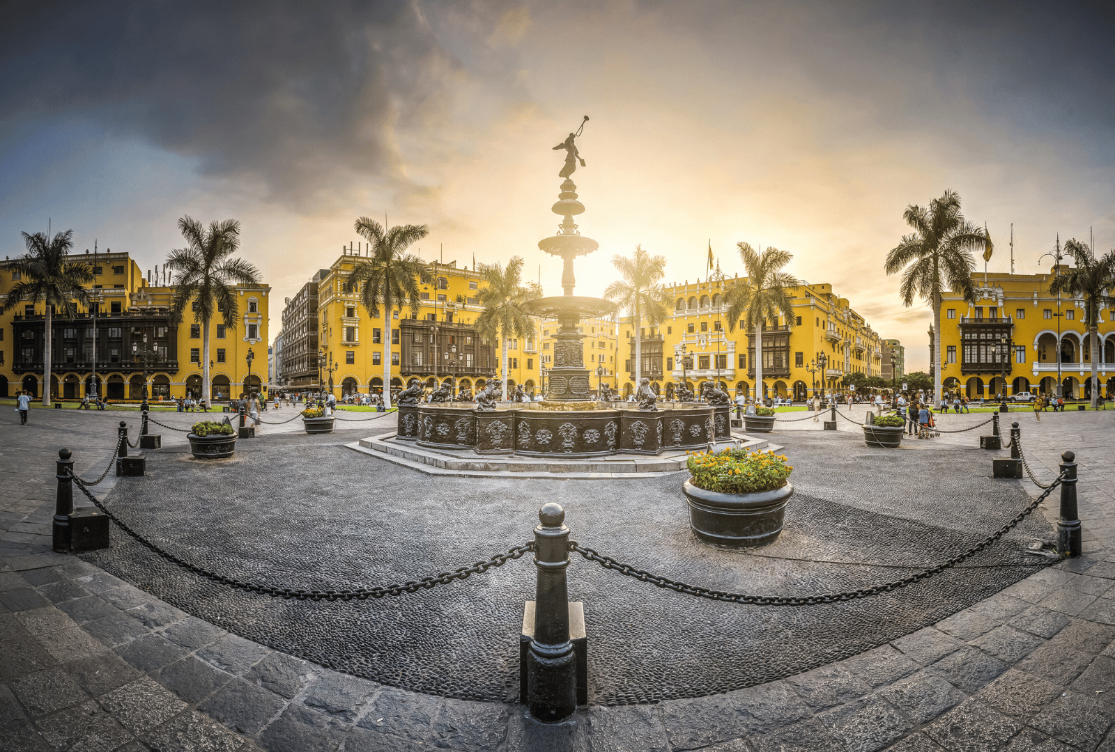 lima__8_