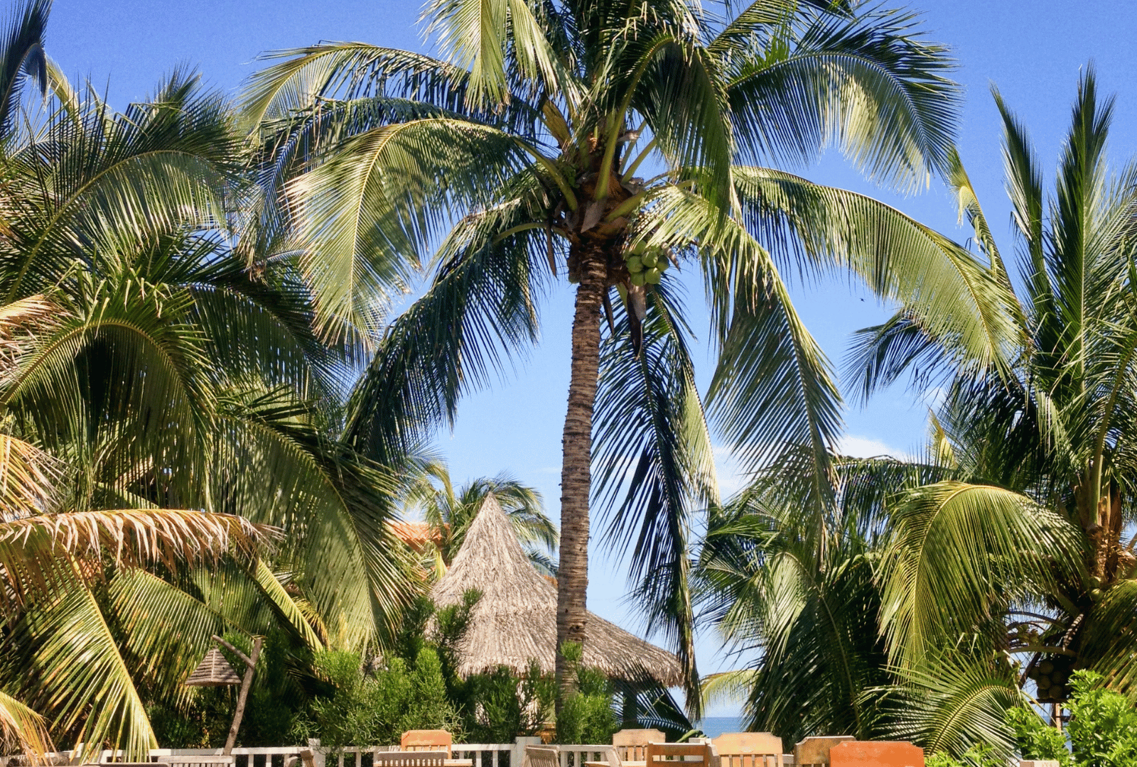 mancora_1