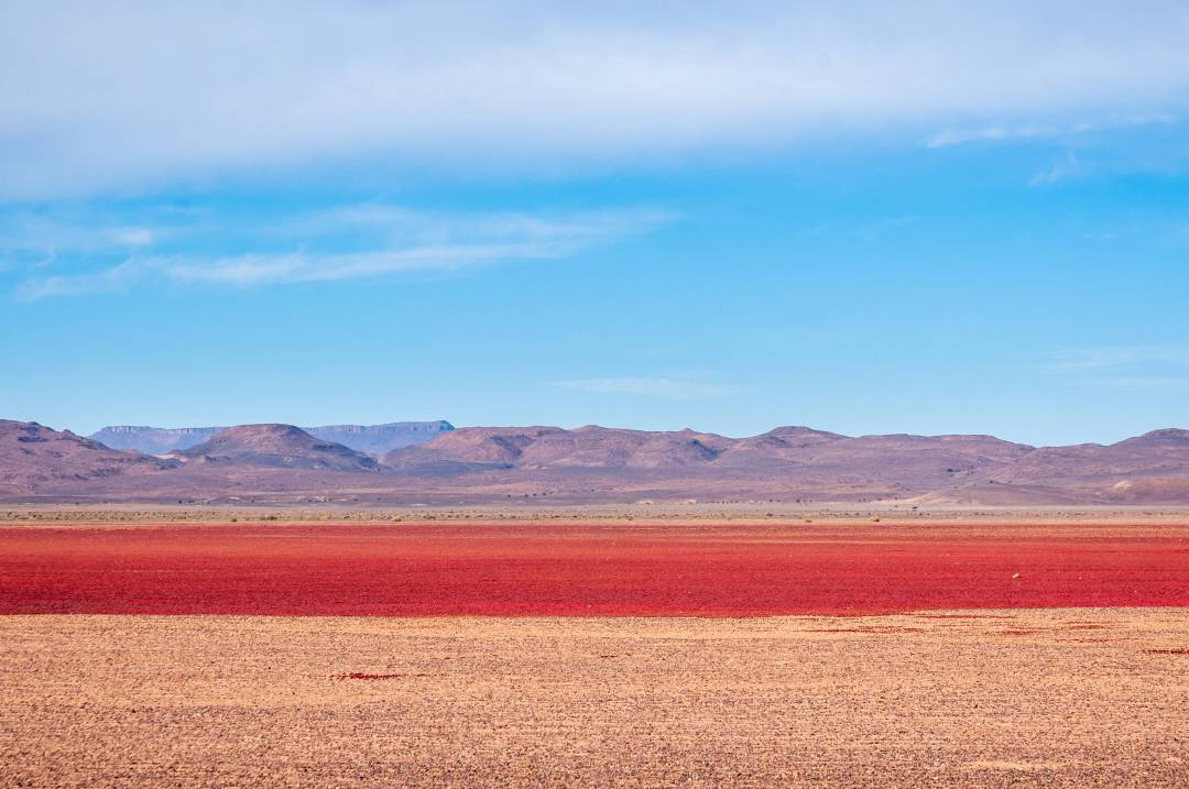 Marocco_Desert_Maidr_3