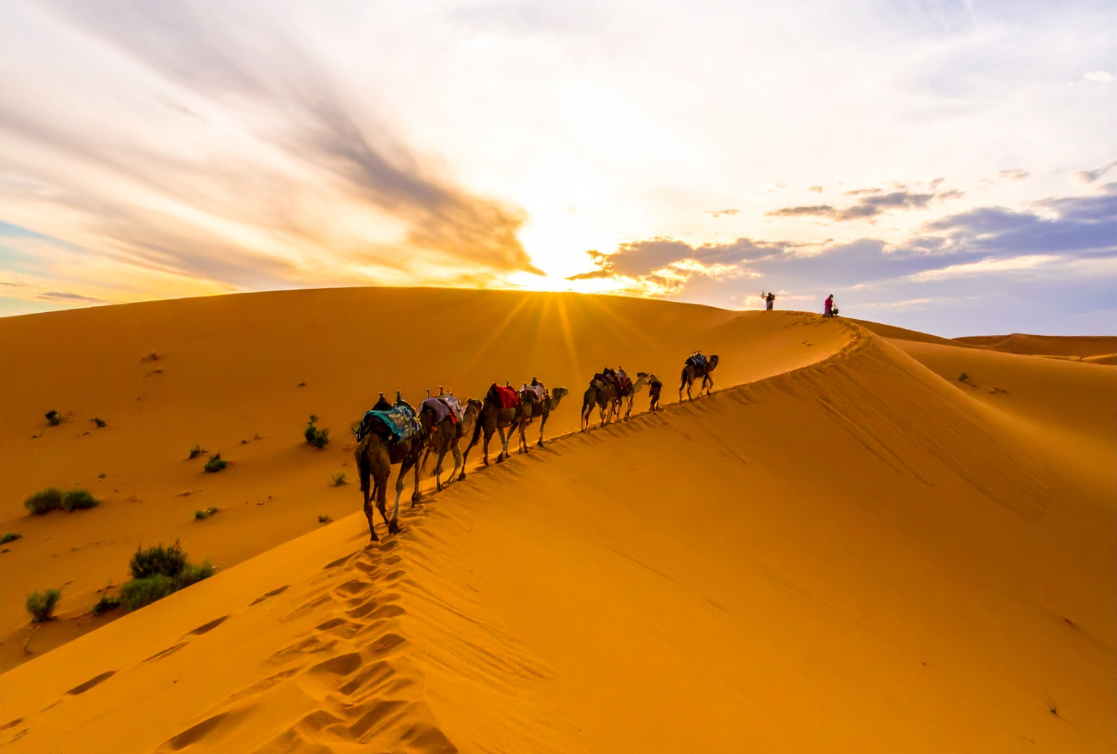 marocco_deserto