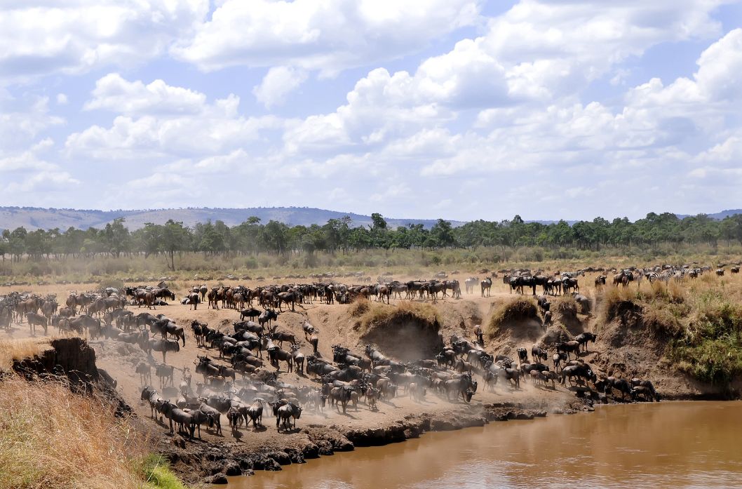masai_mara_landscape