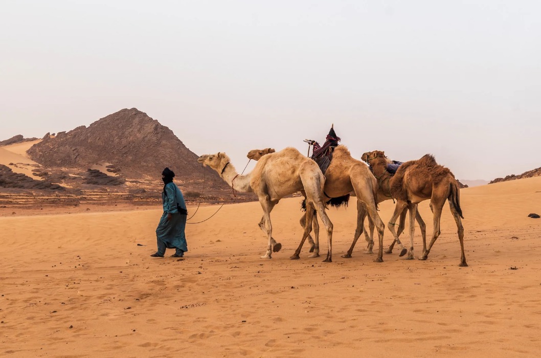Men_with_Camels