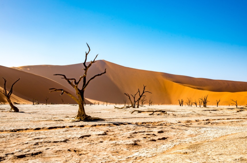 Namib