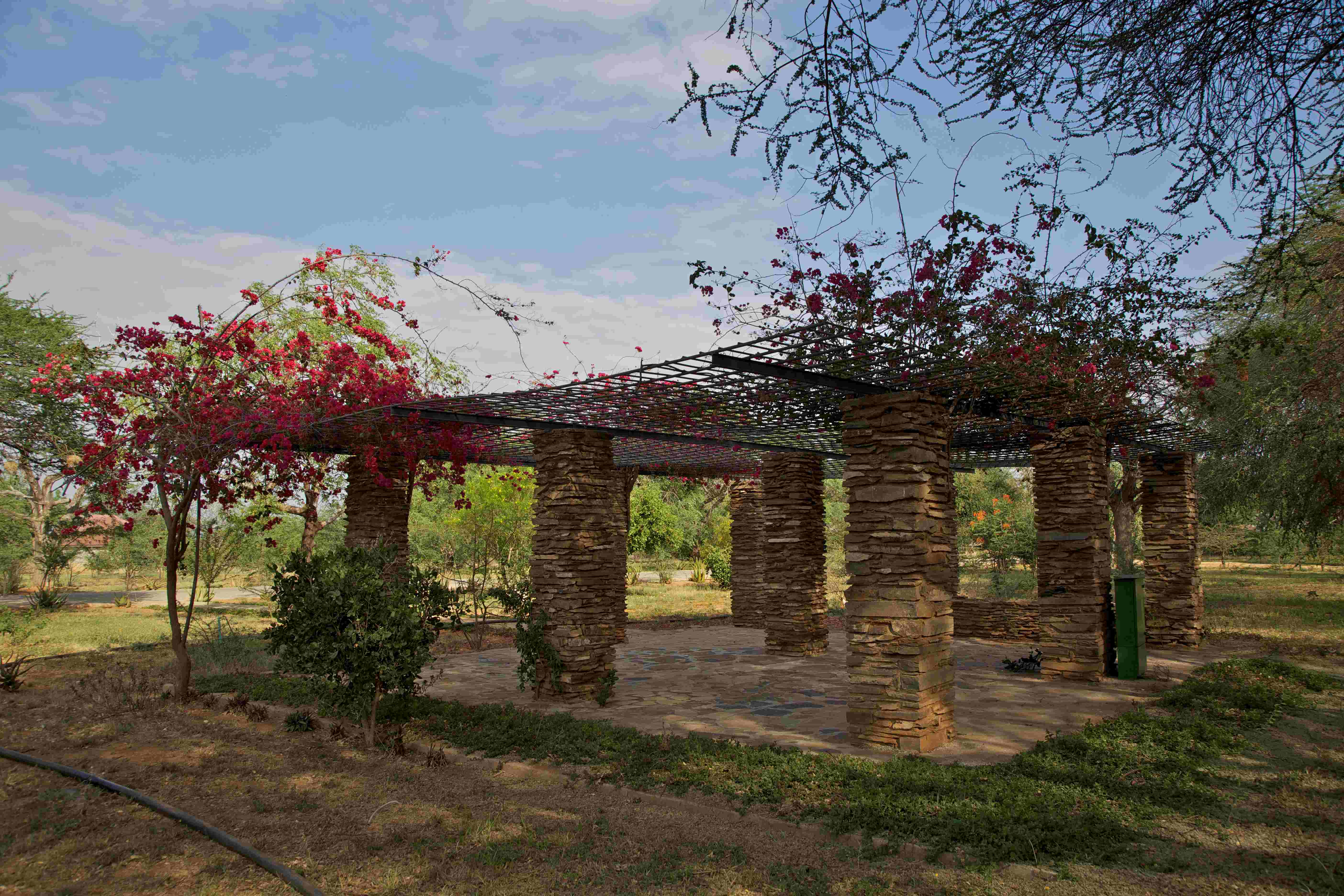 Patio_Ashnil_Aruba_Lodge