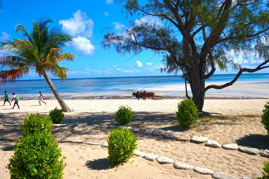 paysage-nosy-saba3-1