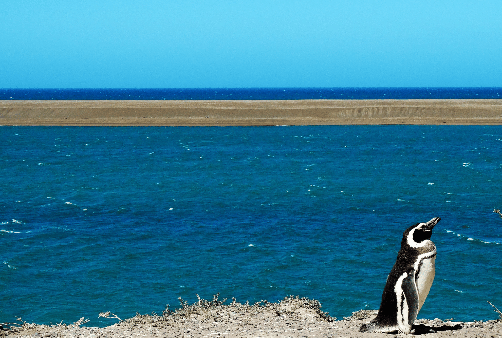 Penisola_di_Valdes