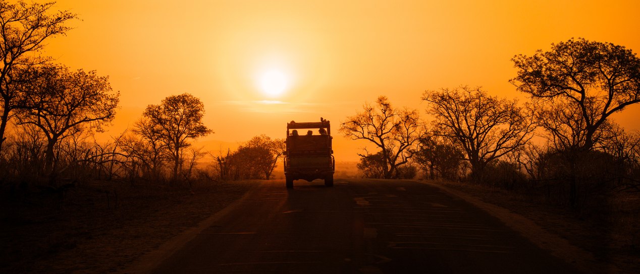 Safari_sunset