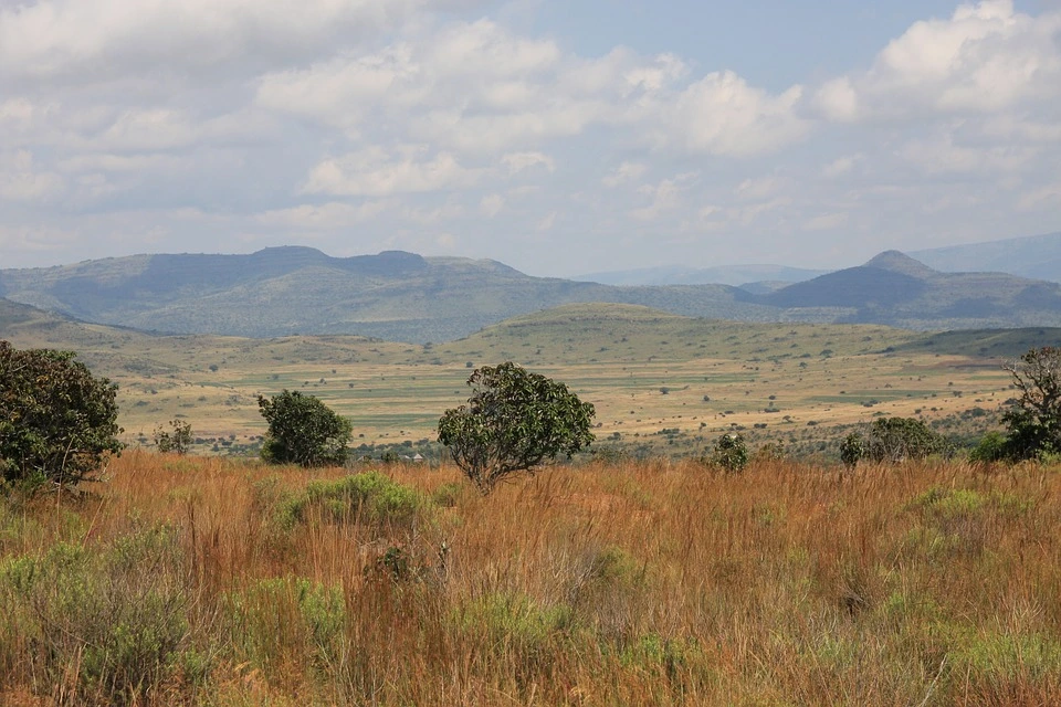 south-africa-3806335_960_720