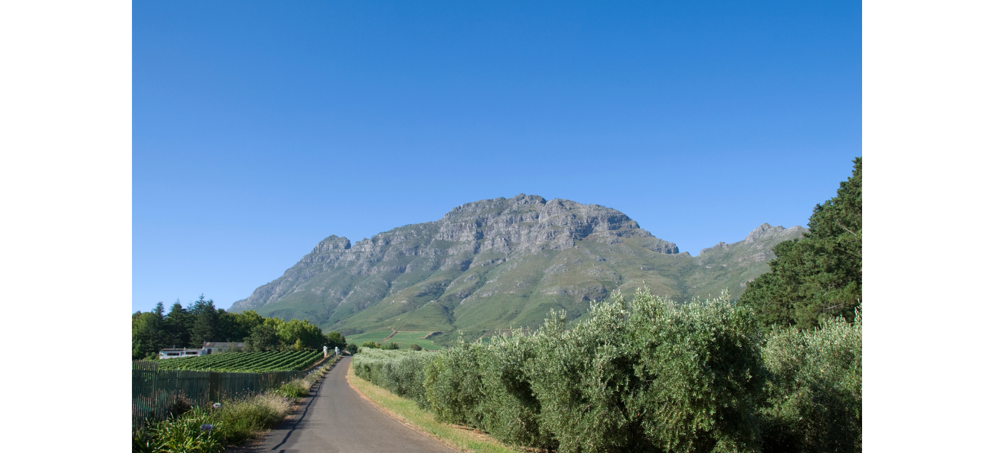 Sudafrica_Franschhoek