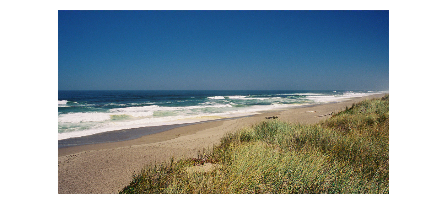 Sudafrica_Hermanus