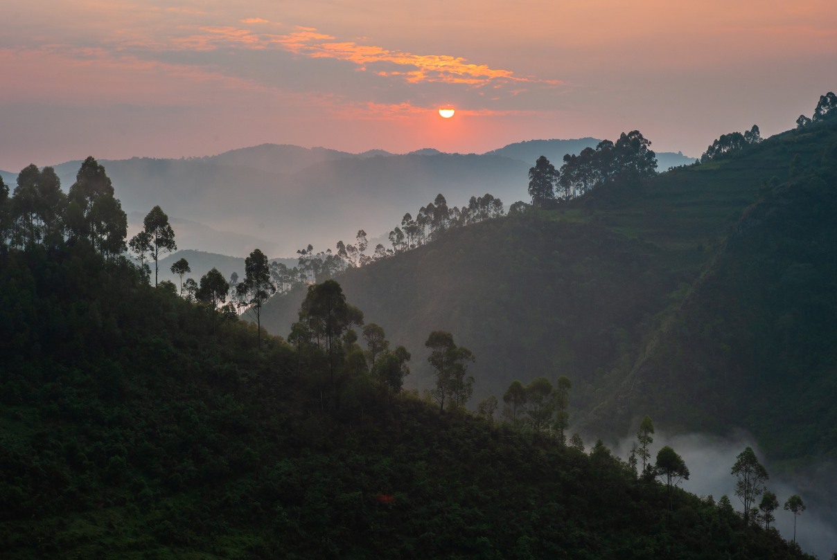 Sunset_in_Bwindi