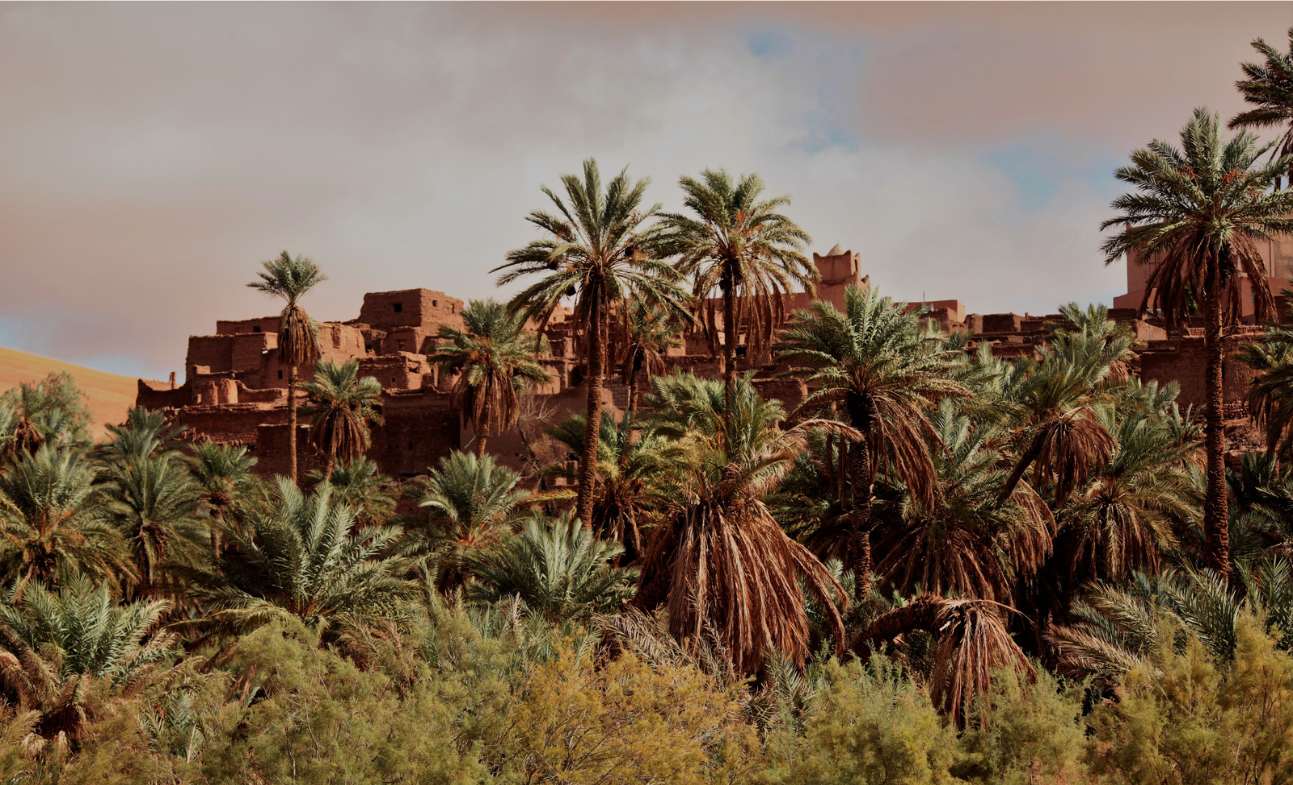 Taghit