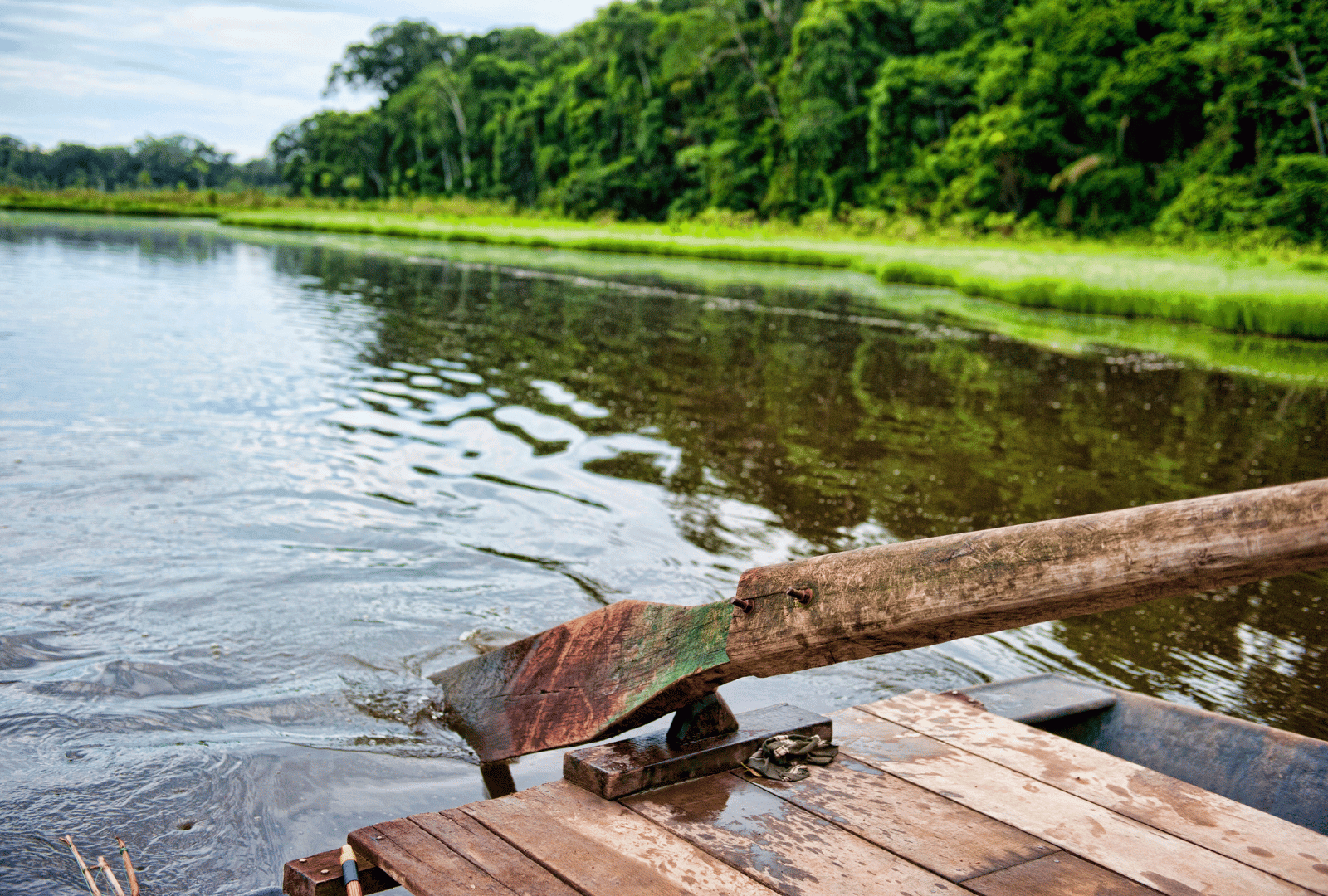 tambopata_2