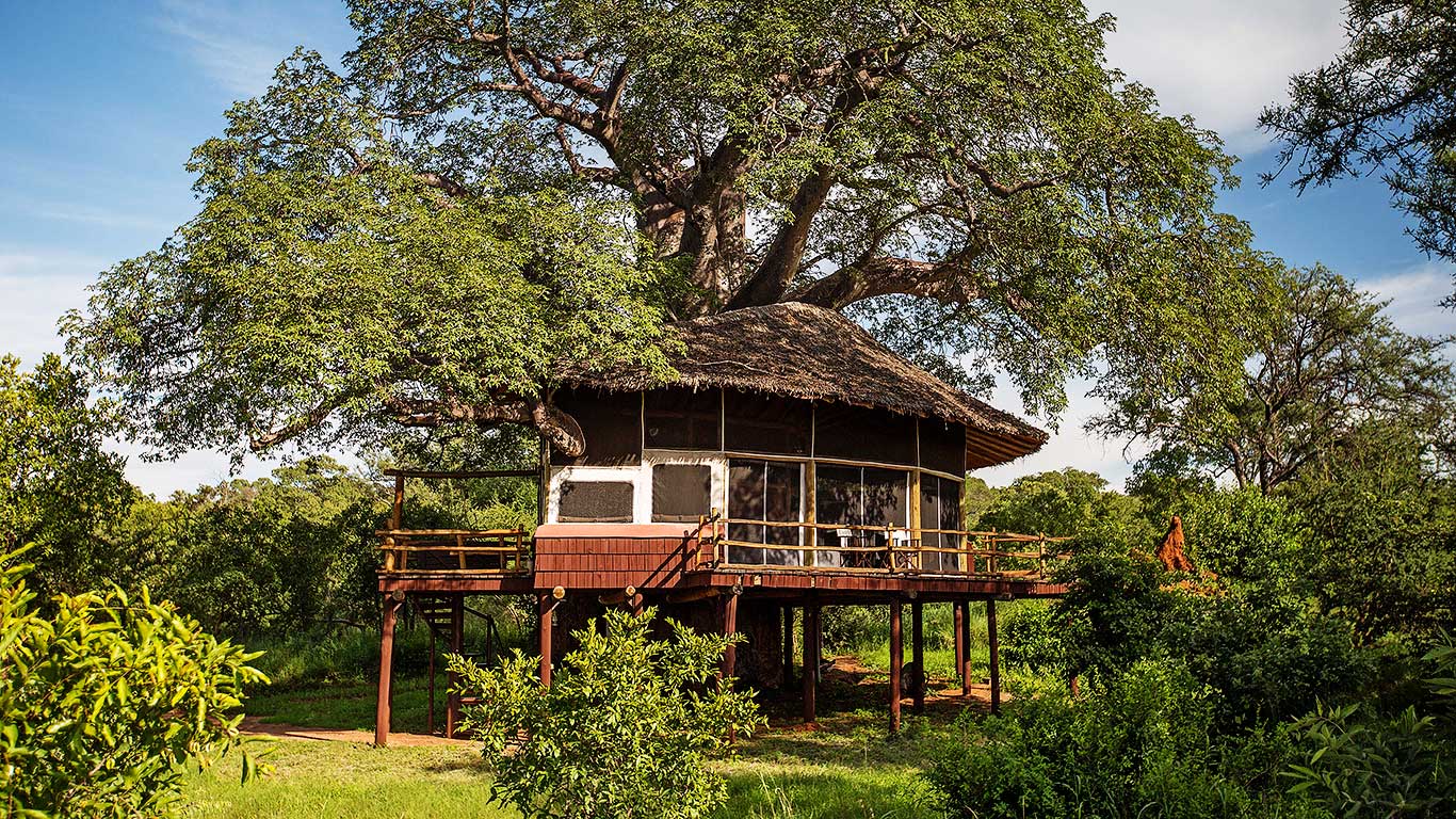 Tarangire-Treetops--Treehouse-Suite