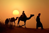 Desert_morocco_png