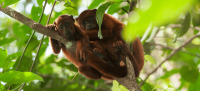 inkaterra