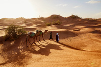 Oman