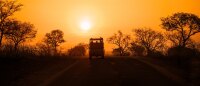 Safari_sunset