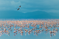 Tanzania_Lake_Manyara_National_Park