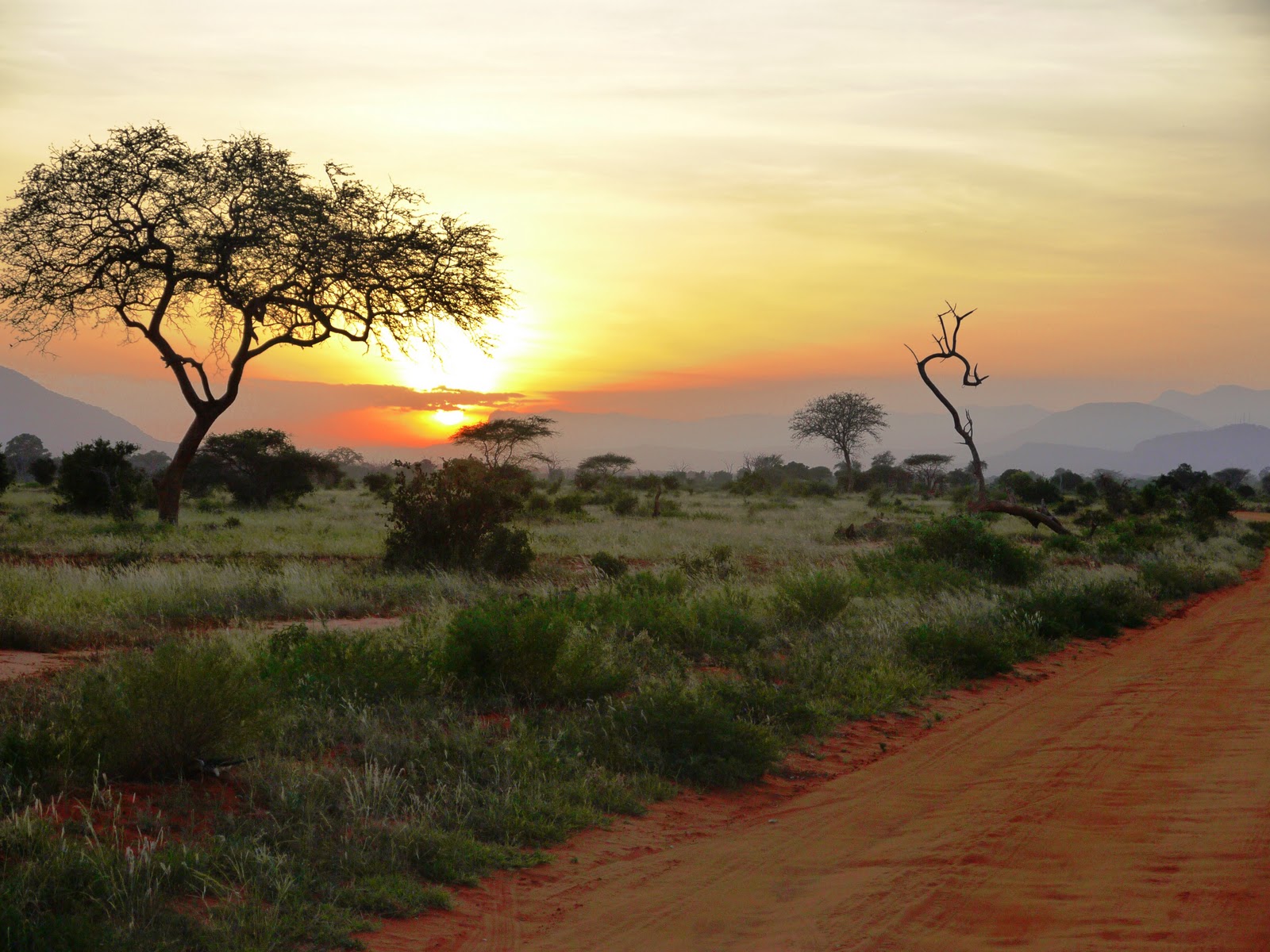 Tramonto_nel_parco_di_Tsavo_in_Kenya