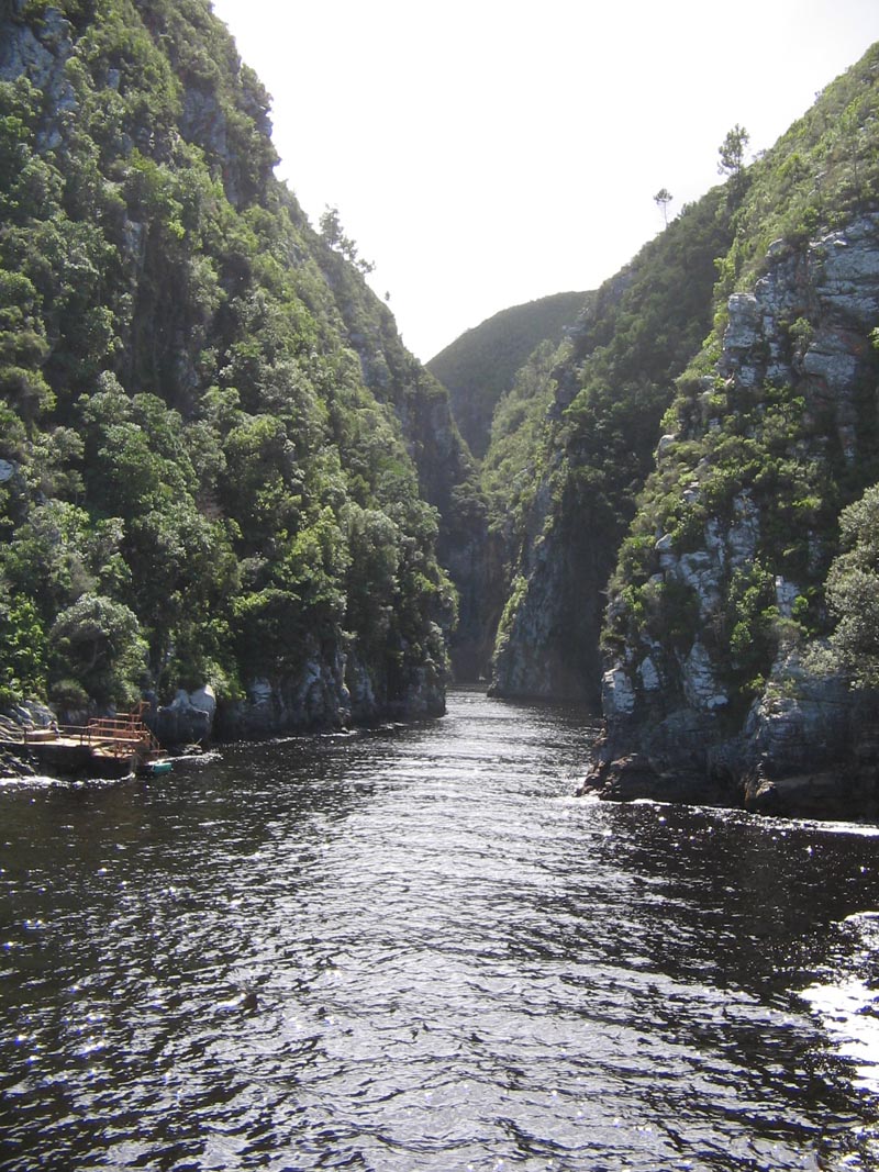 TSITSIKAMMA_PARK