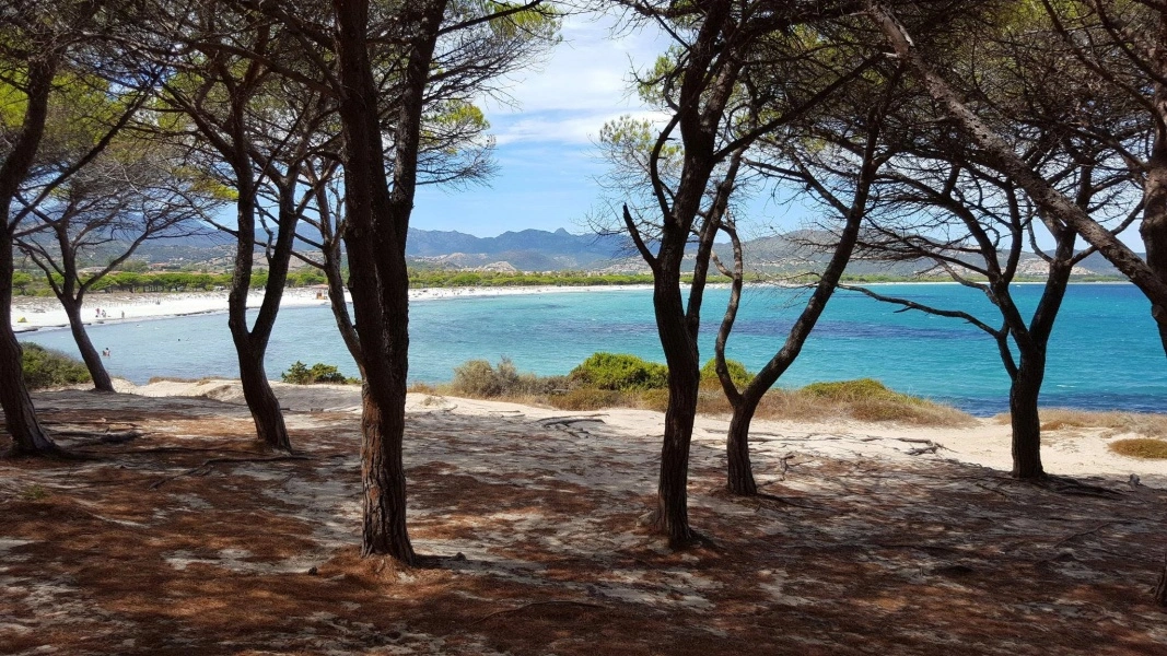 valtur-sardegna-baia-dei-pini-resort-1578580946-1636496632