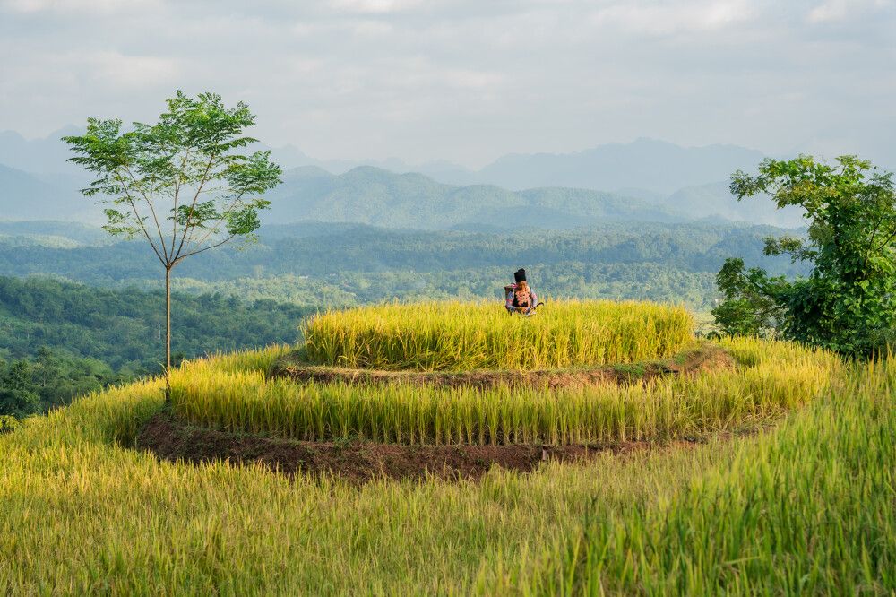 VietnamAvanaRetreat1