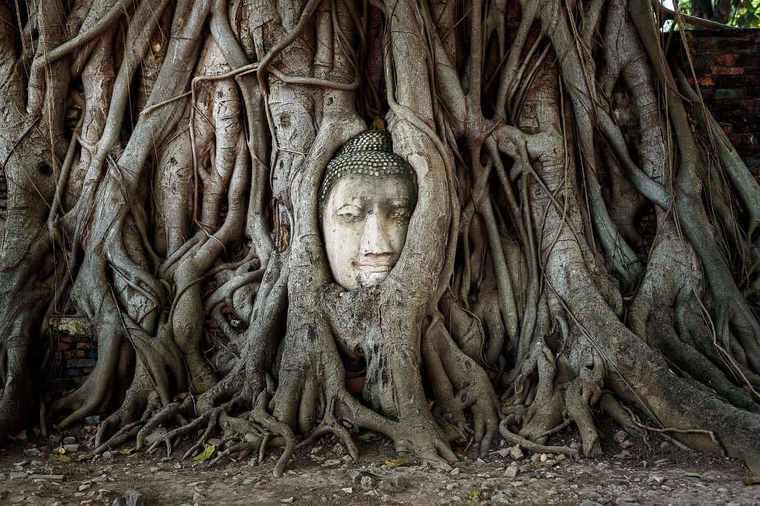 Wat_Mahathat_Ayutthaya